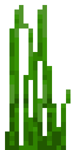 Высокая морская трава.gif